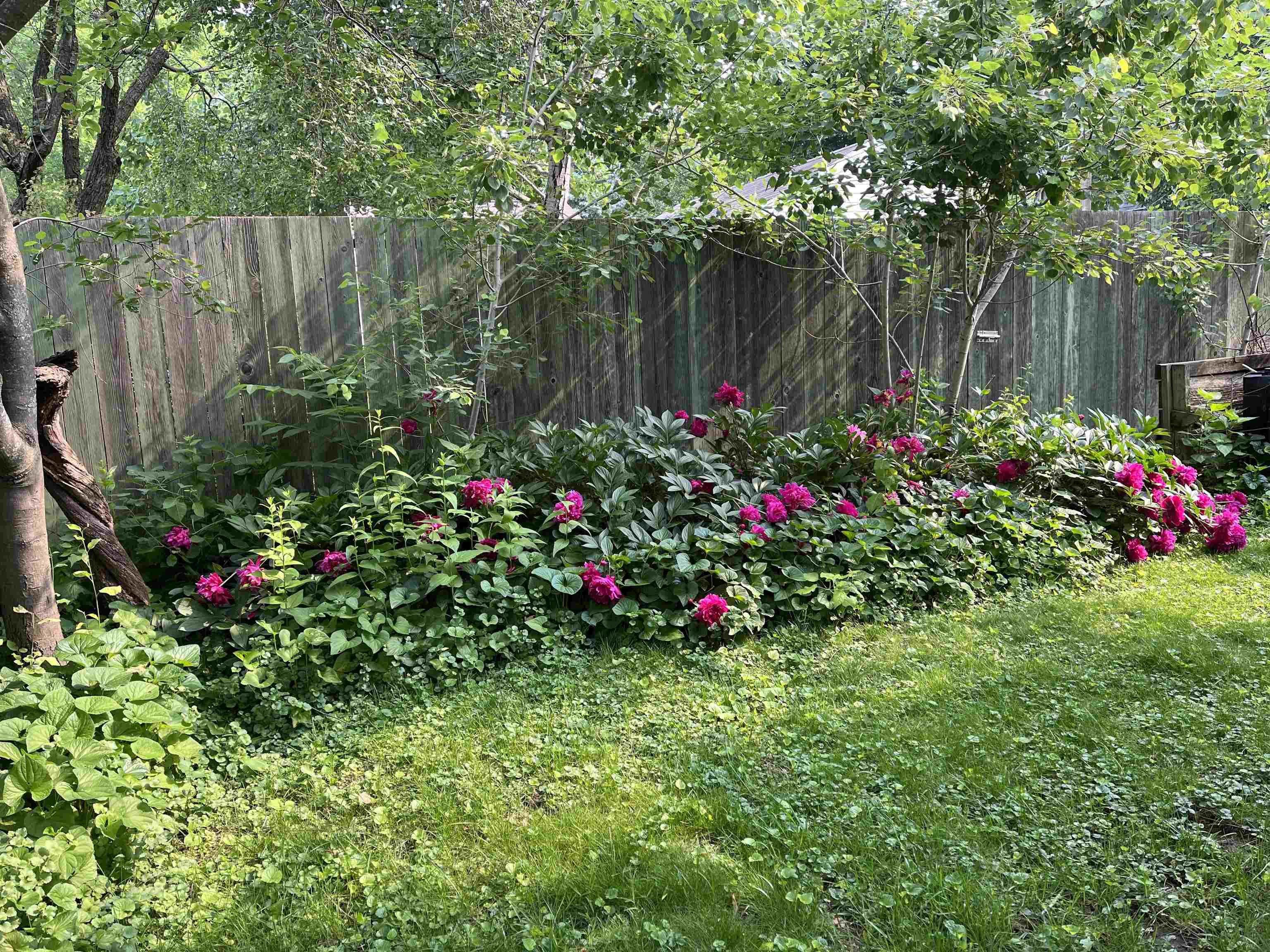 2838 Stevens Street Madison, WI 53705 - Photo 42 of 47