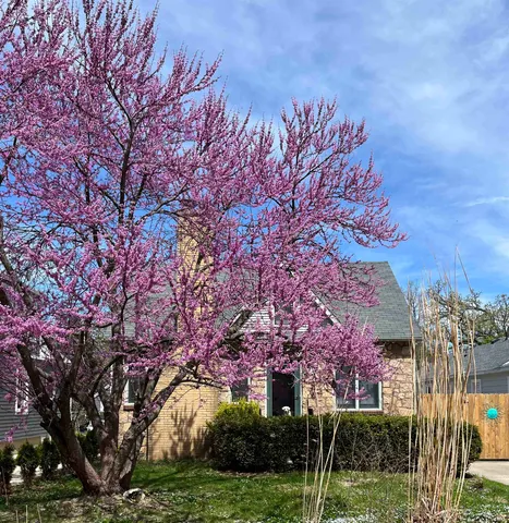 $580,000 | 2838 Stevens Street, Madison, WI 53705