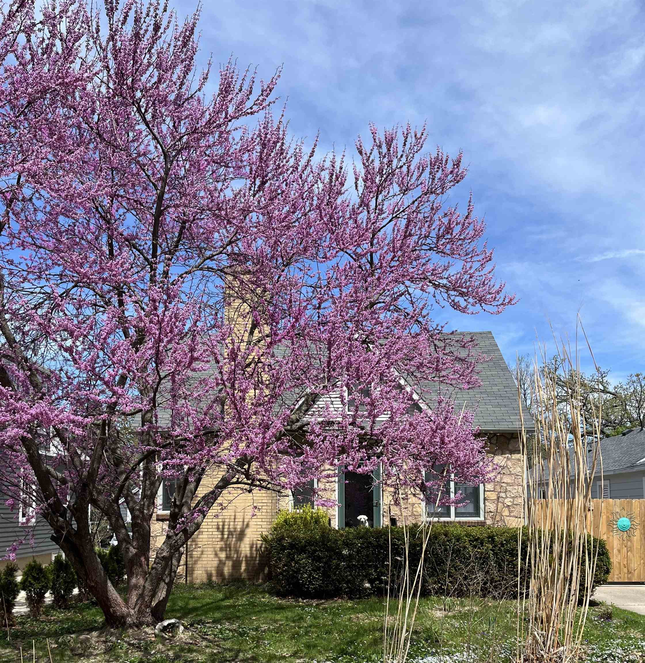 2838 Stevens Street Madison, WI 53705 - Photo 43 of 47