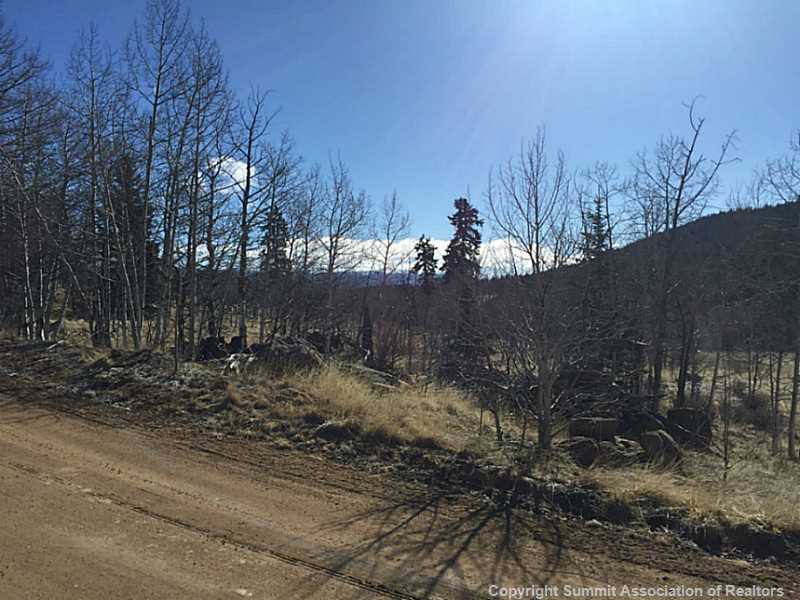 117 Kodiak Road Como, CO 80456 - Photo 16 of 17 Land/Lot.