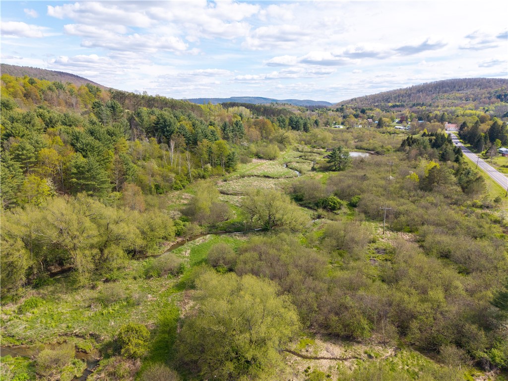 0 County Route 13 Bath, NY 14810 - Photo 18 of 26