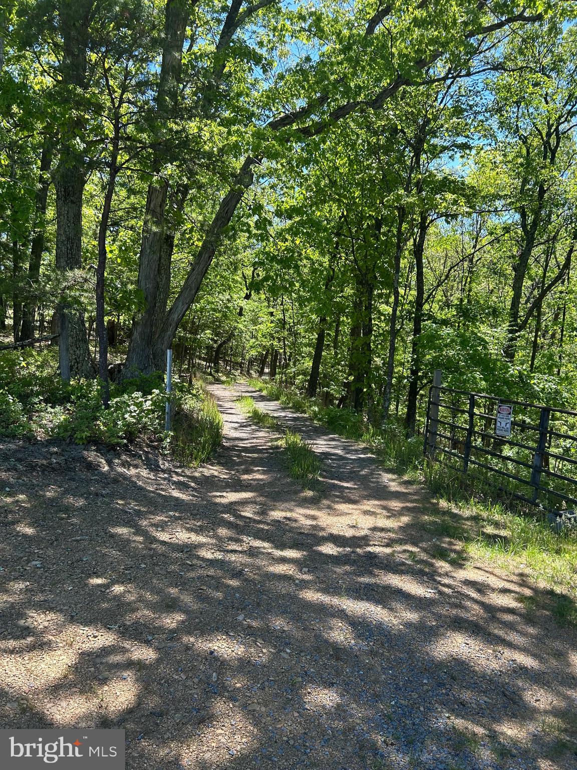 South Timber Ridge Road Cross Junction, VA 22625 - Photo 2 of 32 a backyard of a house with lots of green space