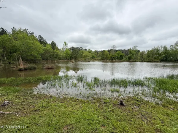 $125,000 | 1102 Highway 35, Carthage, MS 39051