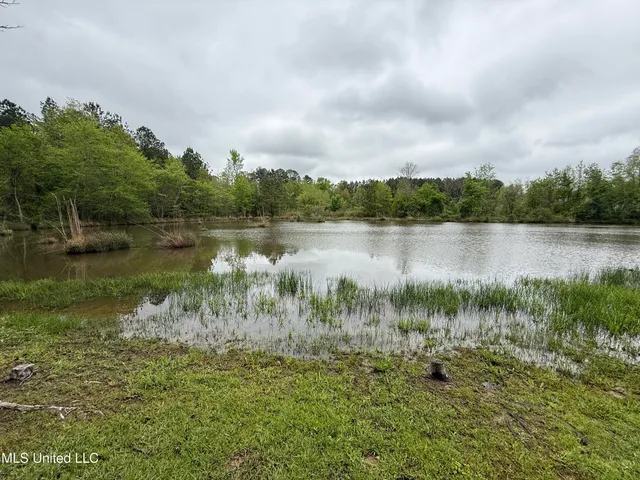 $125,000 | 1102 Highway 35, Carthage, MS 39051