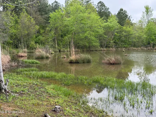 $125,000 | 1102 Highway 35, Carthage, MS 39051