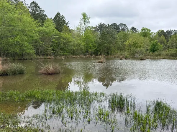 $125,000 | 1102 Highway 35, Carthage, MS 39051