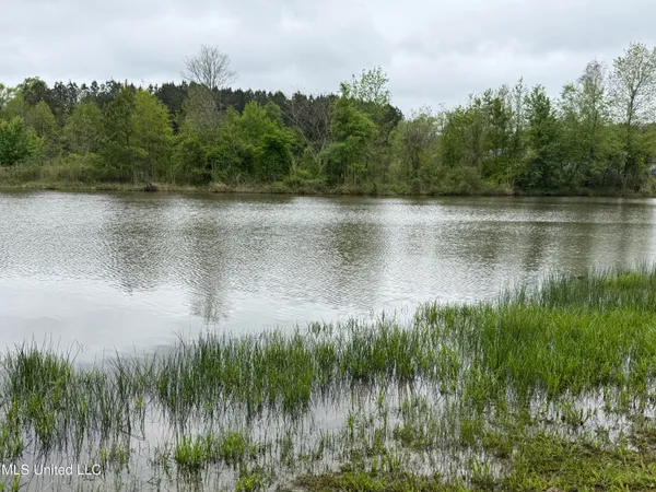 $125,000 | 1102 Highway 35, Carthage, MS 39051