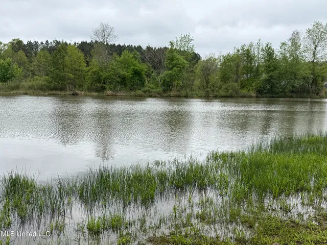 $125,000 | 1102 Highway 35, Carthage, MS 39051