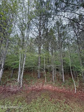 $125,000 | 1102 Highway 35, Carthage, MS 39051