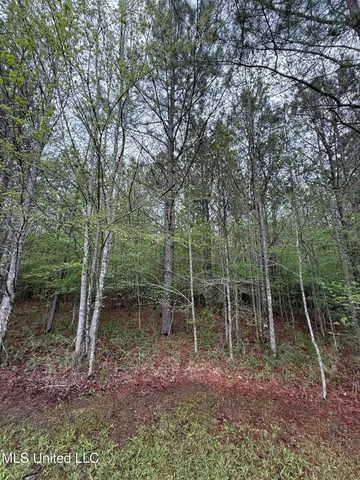 $125,000 | 1102 Highway 35, Carthage, MS 39051