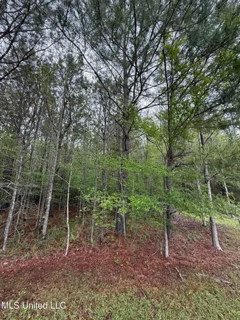 $125,000 | 1102 Highway 35, Carthage, MS 39051