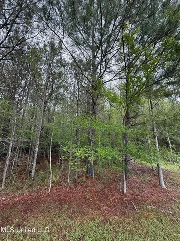 $125,000 | 1102 Highway 35, Carthage, MS 39051