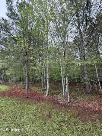 $125,000 | 1102 Highway 35, Carthage, MS 39051