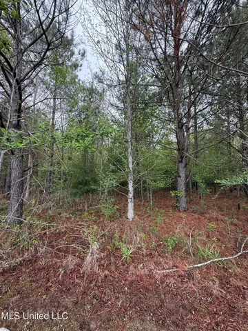 $125,000 | 1102 Highway 35, Carthage, MS 39051