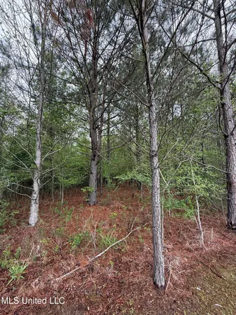 $125,000 | 1102 Highway 35, Carthage, MS 39051