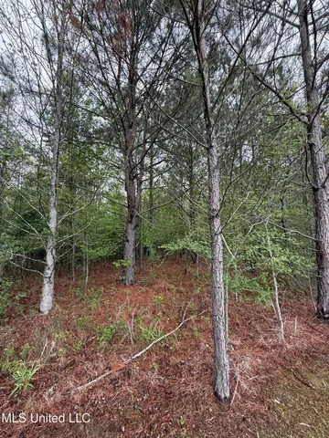 $125,000 | 1102 Highway 35, Carthage, MS 39051