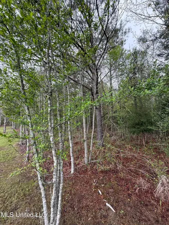 $125,000 | 1102 Highway 35, Carthage, MS 39051