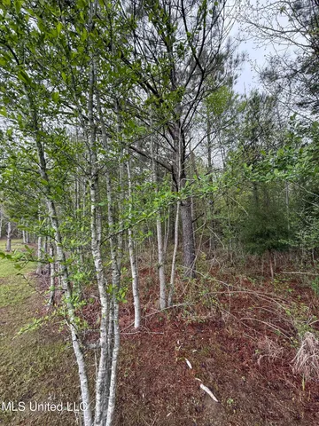 $125,000 | 1102 Highway 35, Carthage, MS 39051