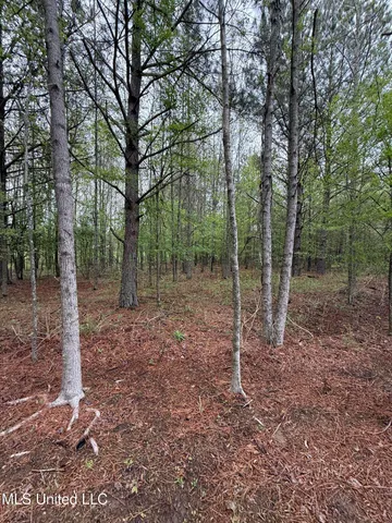 $125,000 | 1102 Highway 35, Carthage, MS 39051