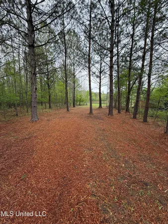 $125,000 | 1102 Highway 35, Carthage, MS 39051