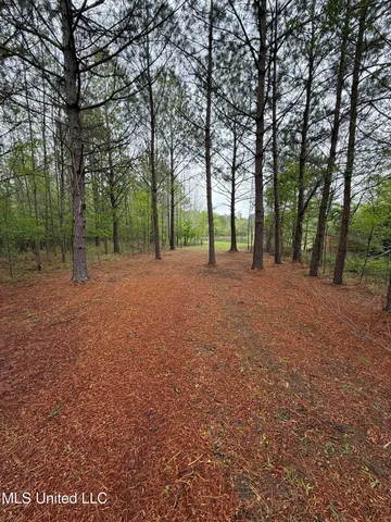 $125,000 | 1102 Highway 35, Carthage, MS 39051