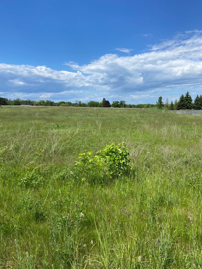 6512 Barrick Road Sturgeon Bay, WI 54235 - Photo 5 of 8