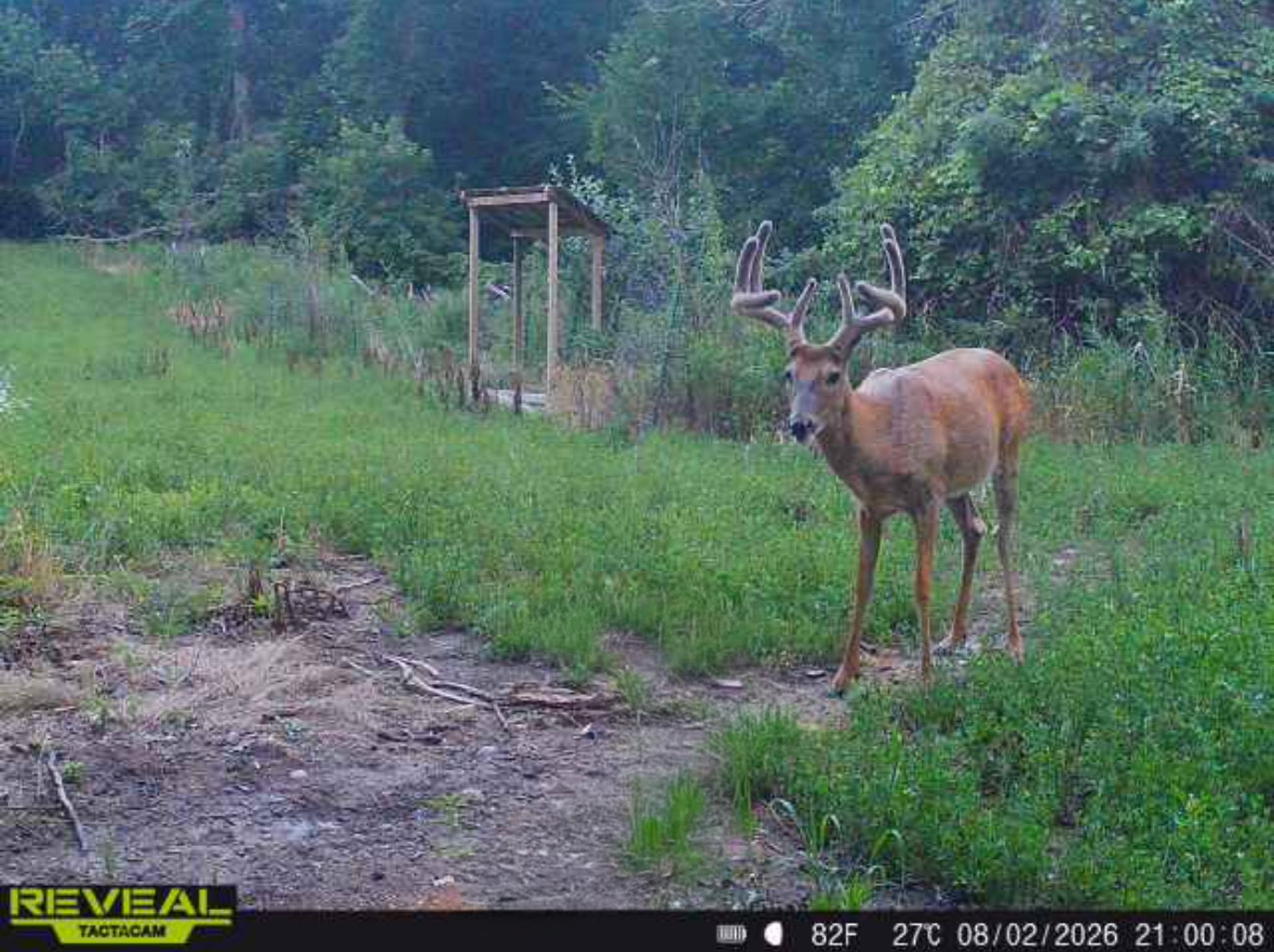 33098 North Cotton Lake Road Rochert, MN 56578 - Photo 32 of 37 Gallery Image 32