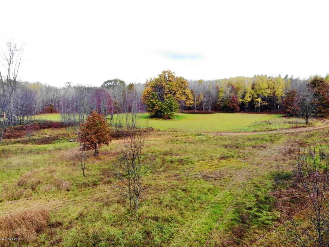 7 7 Mile Road Sears, MI 49679 - Photo 3 of 39