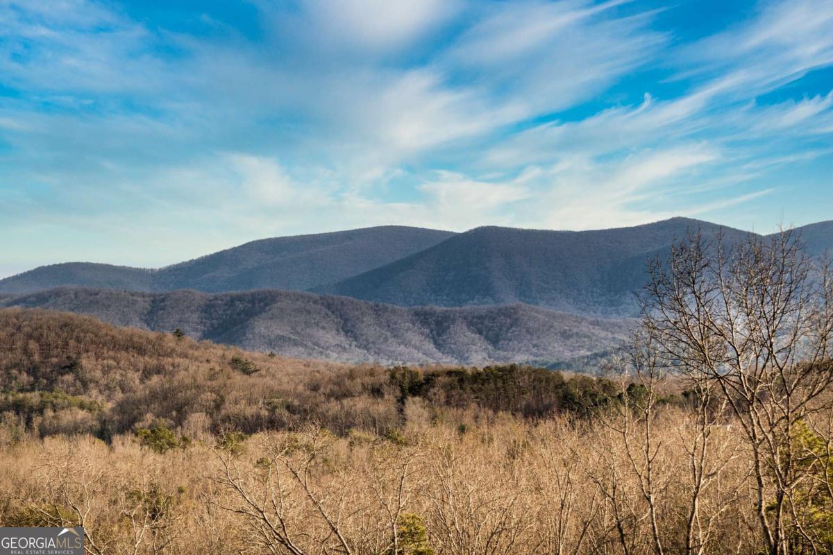 49 Chestnut Overlook Blue Ridge, Unit 11 Blue Ridge, GA 30513 - Photo 60 of 62 a view of mountain with outdoor space