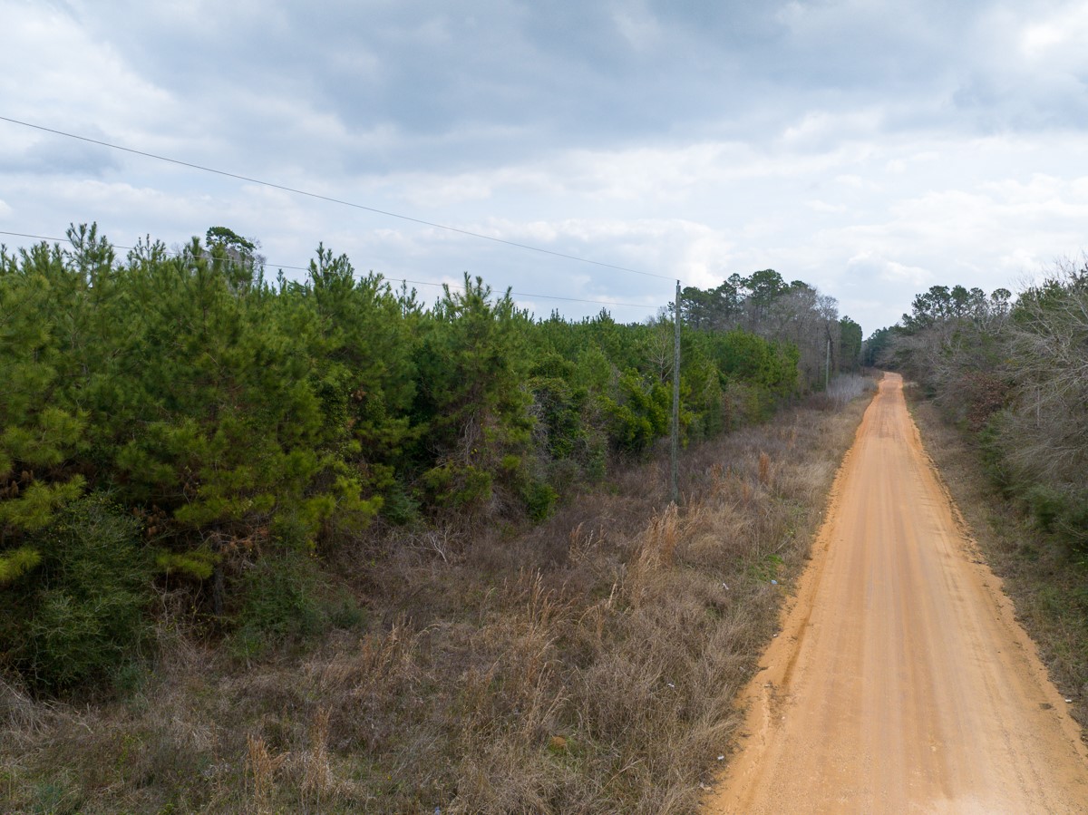 1 Union Springs Road Corrigan, TX 75939 - Photo 21 of 21 a view of a pathway both side of building