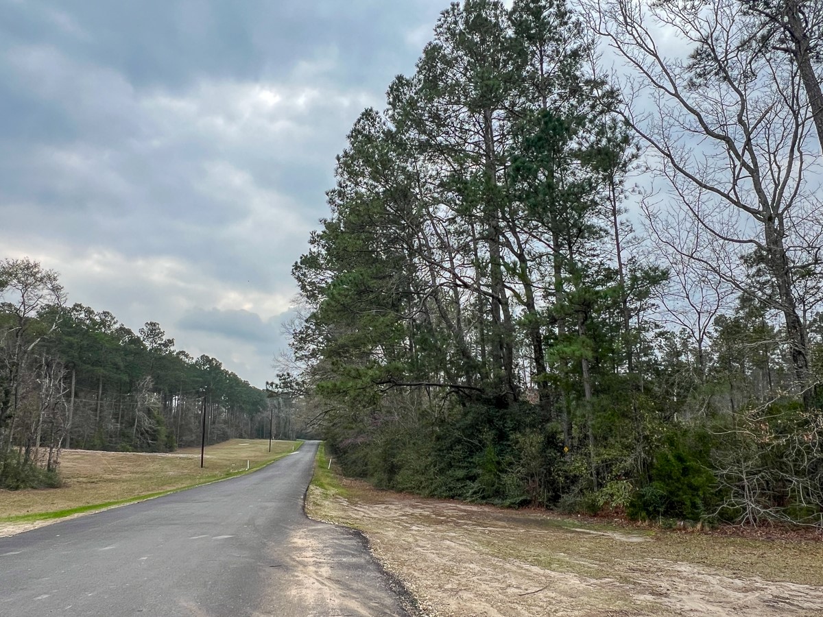 1 Union Springs Road Corrigan, TX 75939 - Photo 10 of 21 a view of a big yard with large trees
