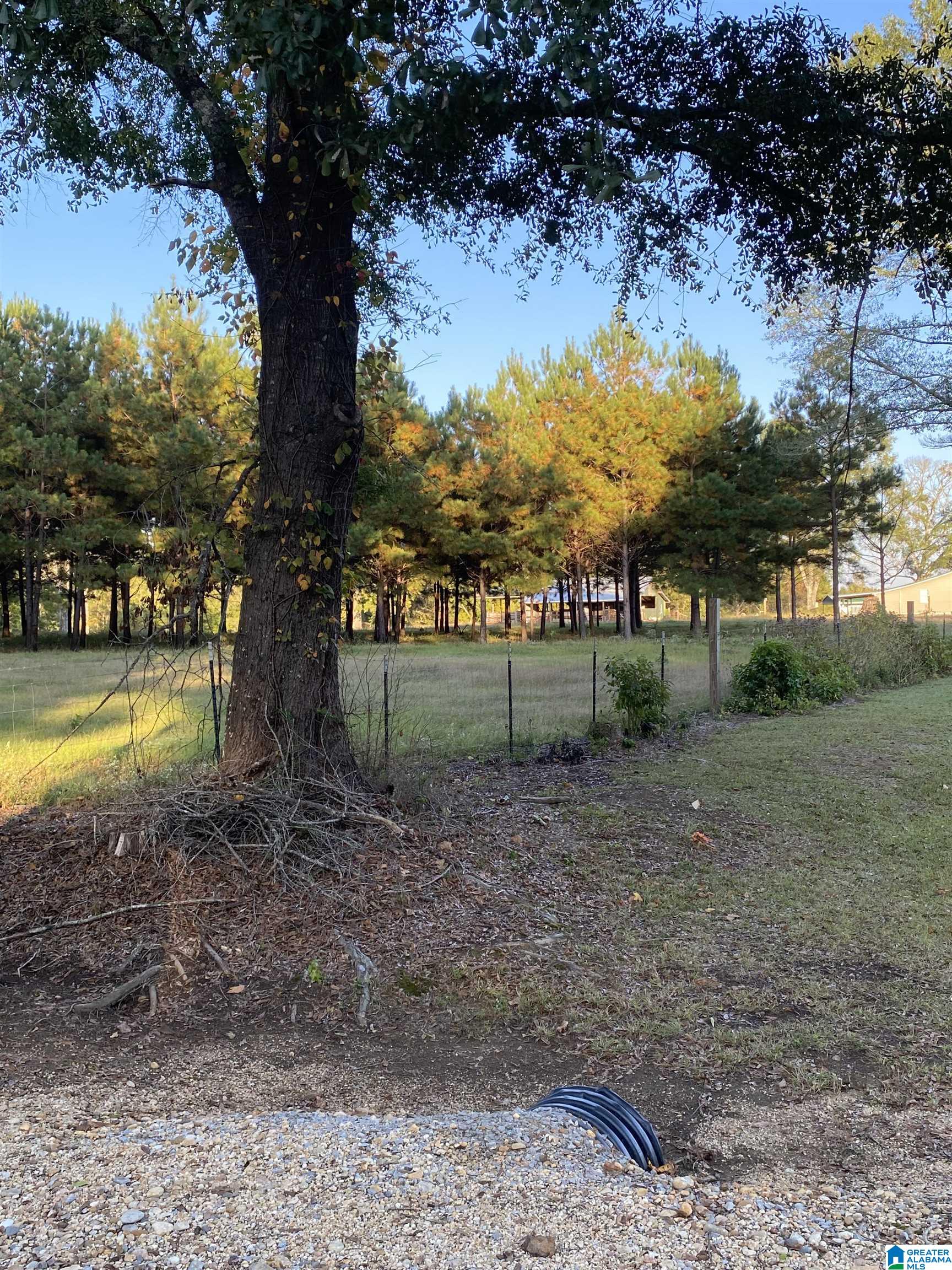 4404 Bear Creek Road Brent, AL 35034 - Photo 5 of 16