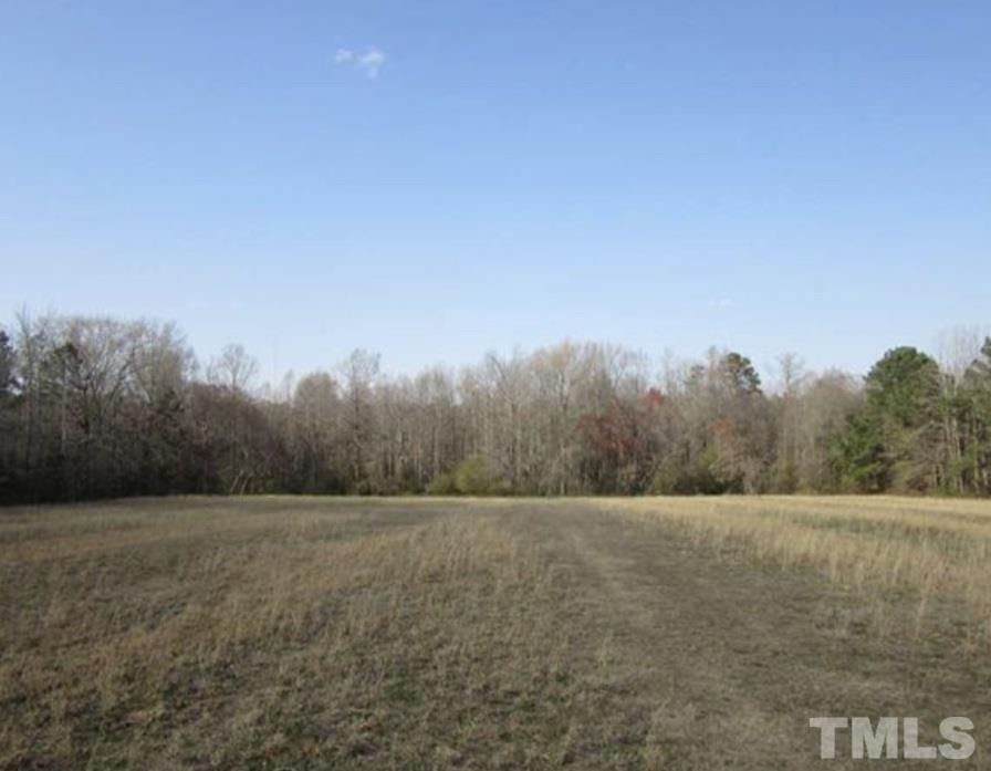 7348 Schooners Road Bailey, NC 27807 - Photo 6 of 8