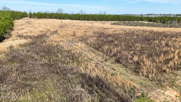 $159,000 | 239 Hwy 44 Jayess Ms 39641, Jayess, MS 39641