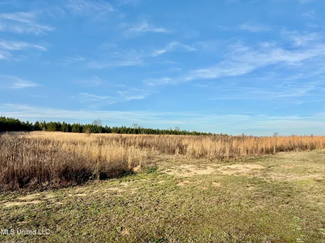 $159,000 | 239 Hwy 44 Jayess Ms 39641, Jayess, MS 39641