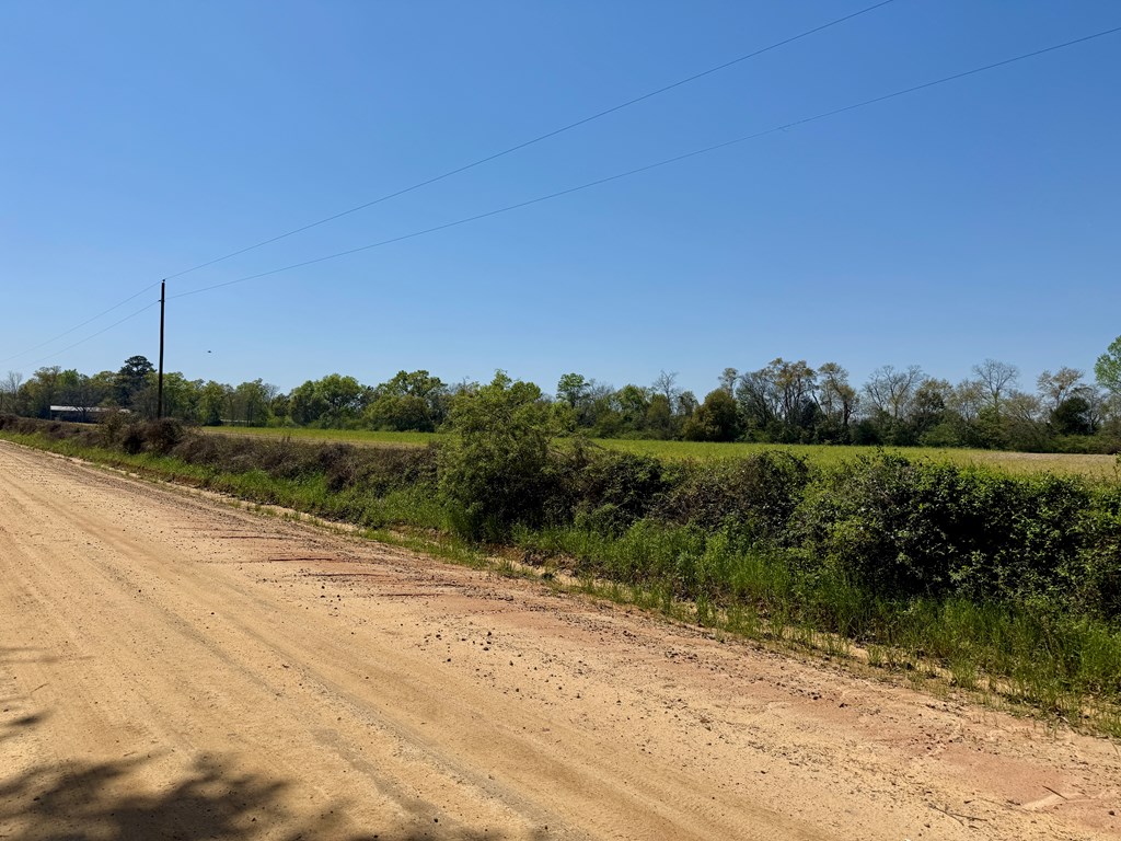 4-acres Dillard Road Pansey, AL 36370 - Photo 2 of 8
