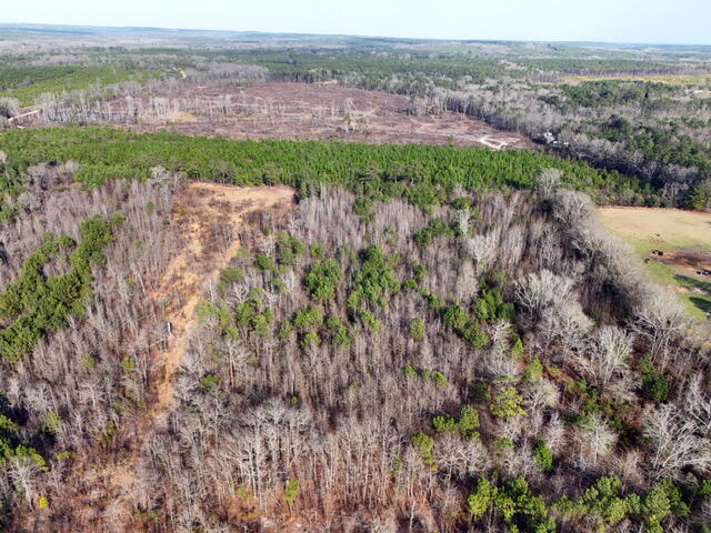 0 Rafting Creek Rembert, SC 29128 - Photo 3 of 3 Gallery Image 3