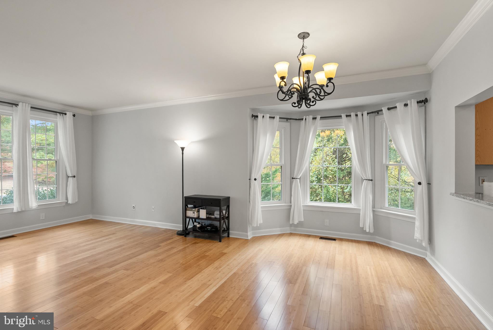 3601 Ransom Place Alexandria, VA 22306 - Photo 15 of 60 a view of a livingroom with a window and a fireplace
