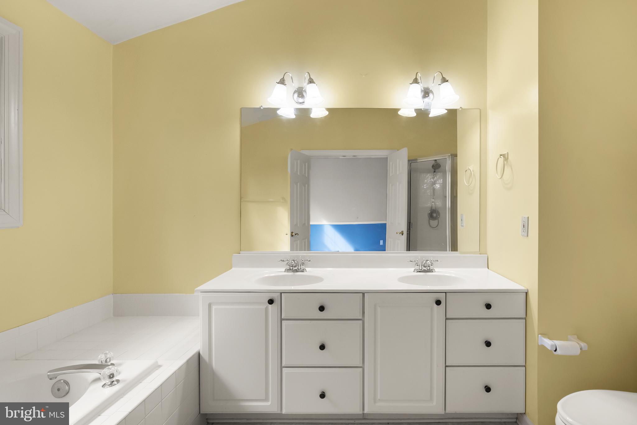 3601 Ransom Place Alexandria, VA 22306 - Photo 35 of 60 a bathroom with a sink and a mirror