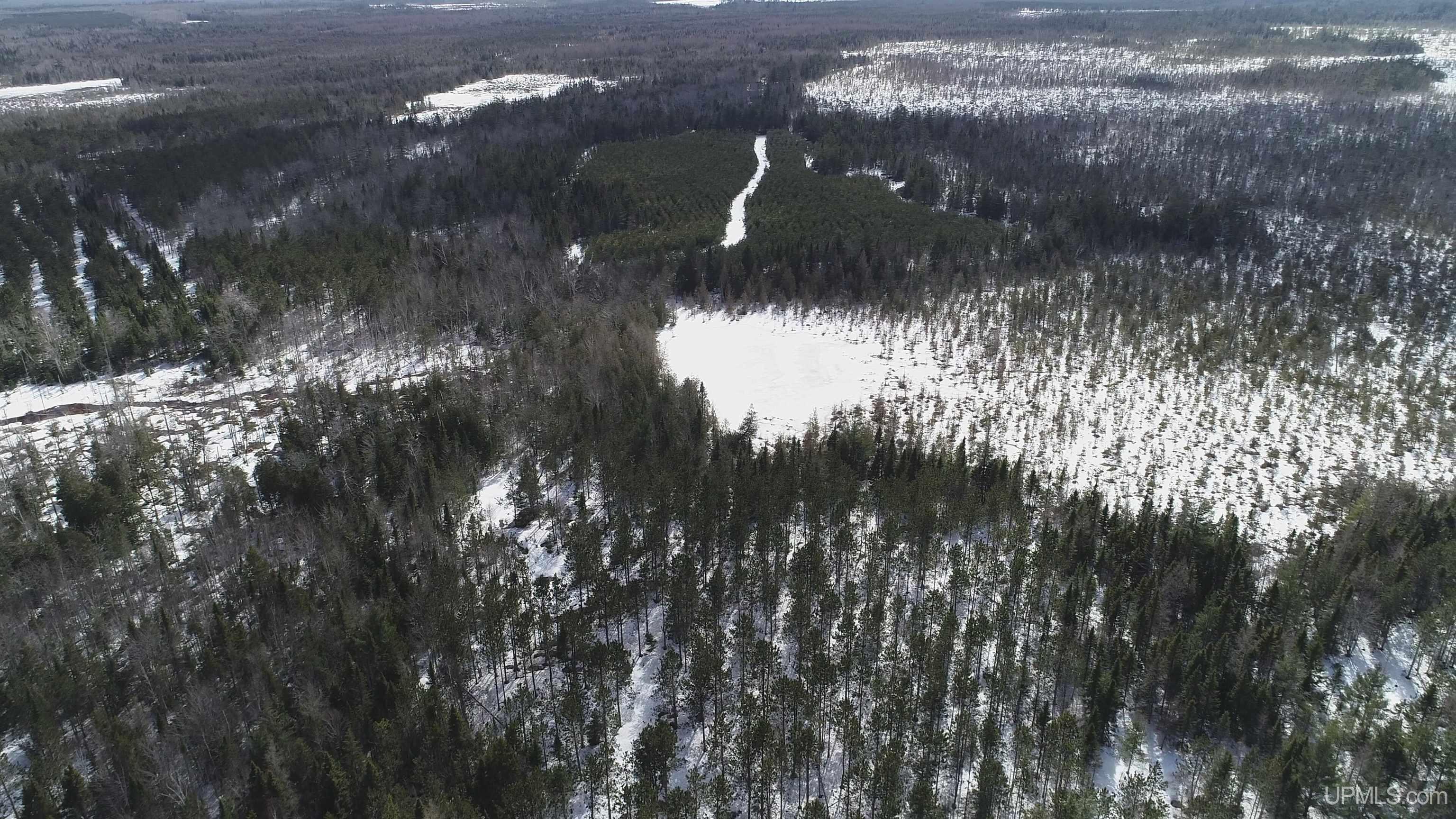 20-acres Off Flodin Road Manistique, MI 49854 - Photo 19 of 29