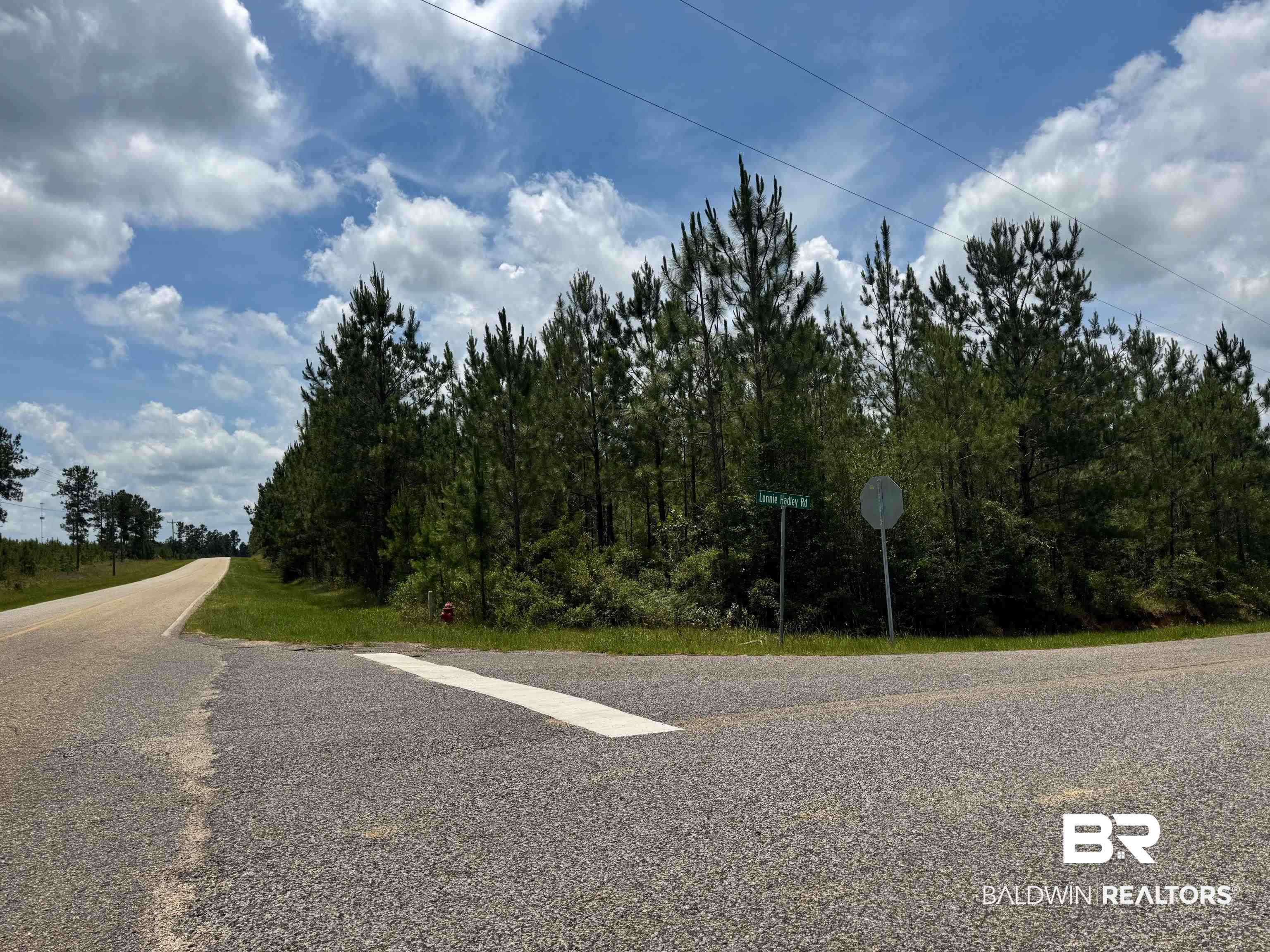 Lot 4-5 Lonnie Hadley Road Perdido, AL 36562 - Photo 4 of 9