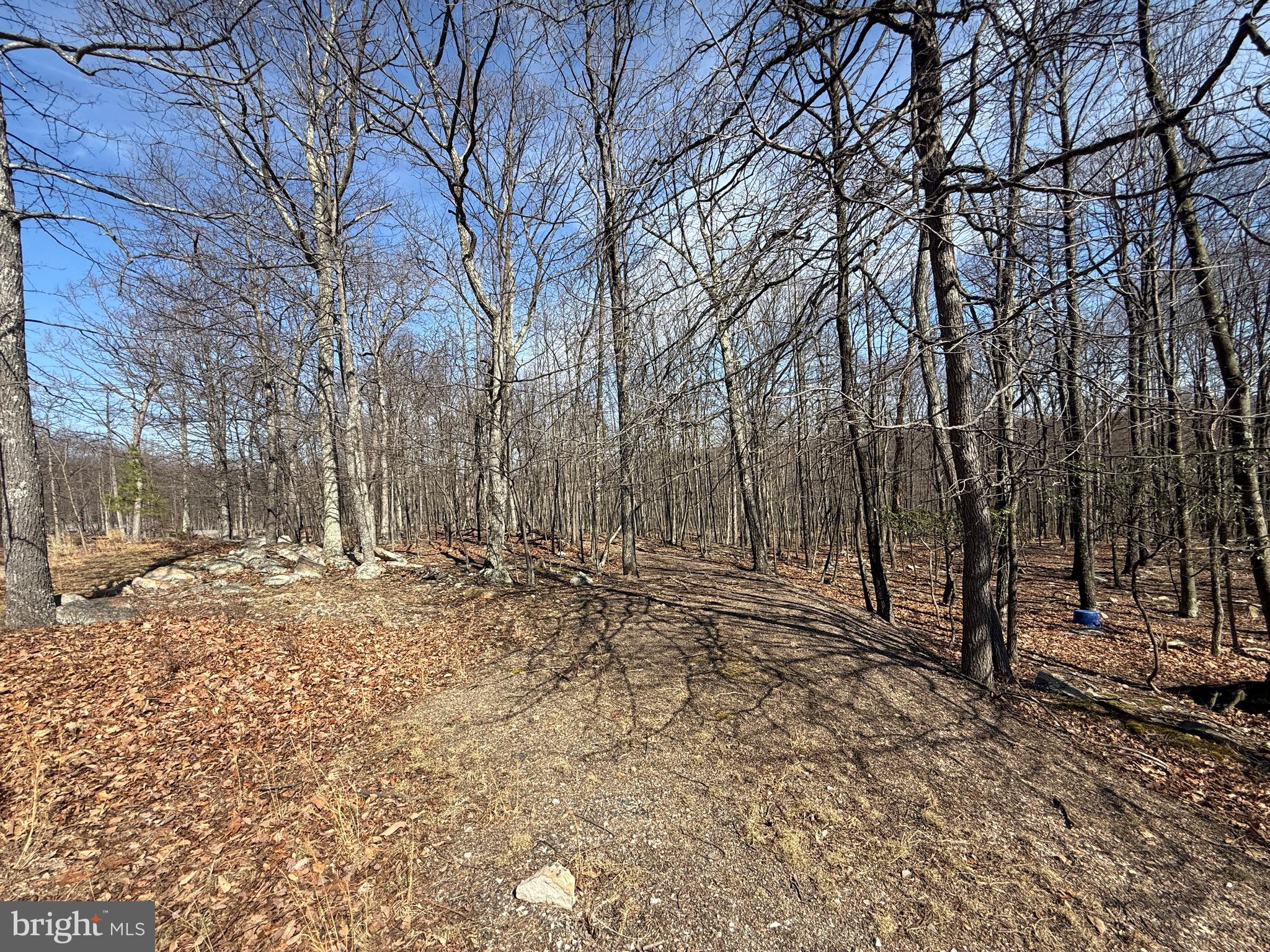 590 Parkside Terrace Berkeley Springs, WV 25411 - Photo 1 of 15