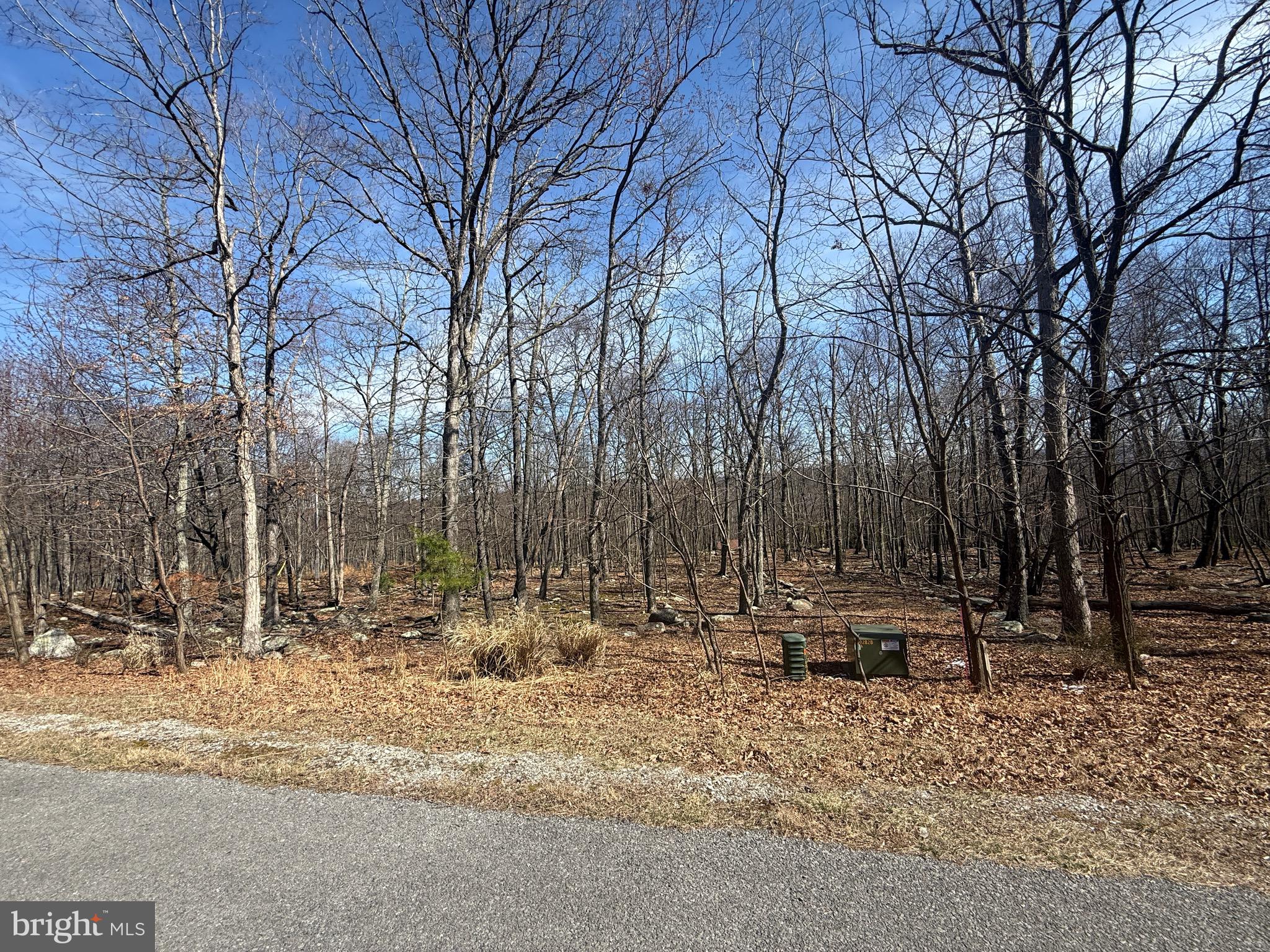 590 Parkside Terrace Berkeley Springs, WV 25411 - Photo 11 of 15