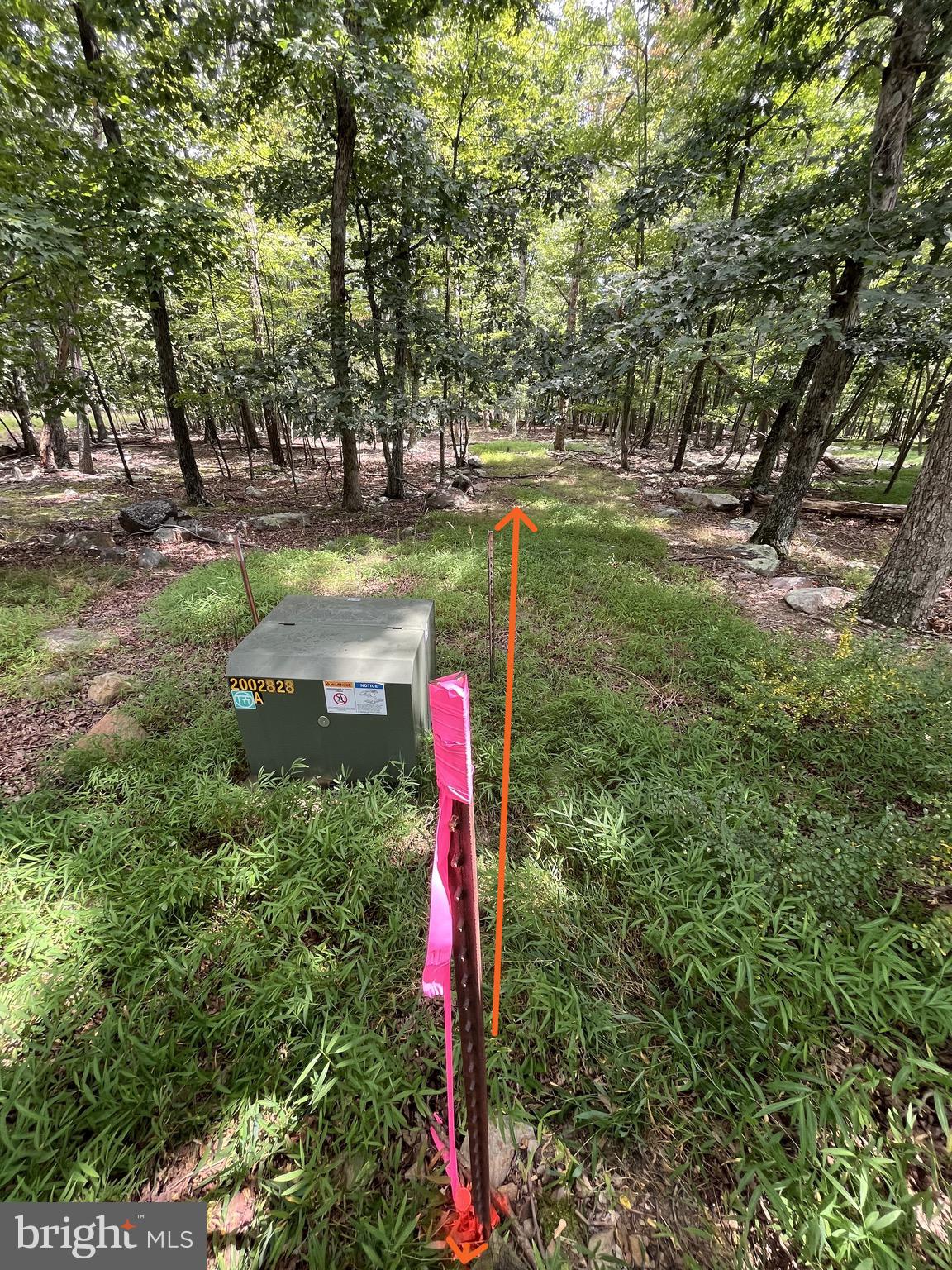 590 Parkside Terrace Berkeley Springs, WV 25411 - Photo 12 of 15