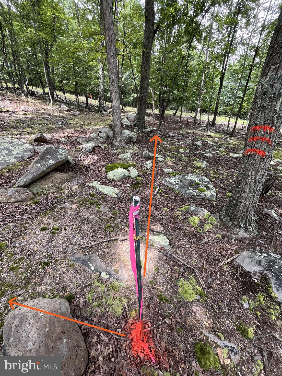 590 Parkside Terrace Berkeley Springs, WV 25411 - Photo 13 of 15