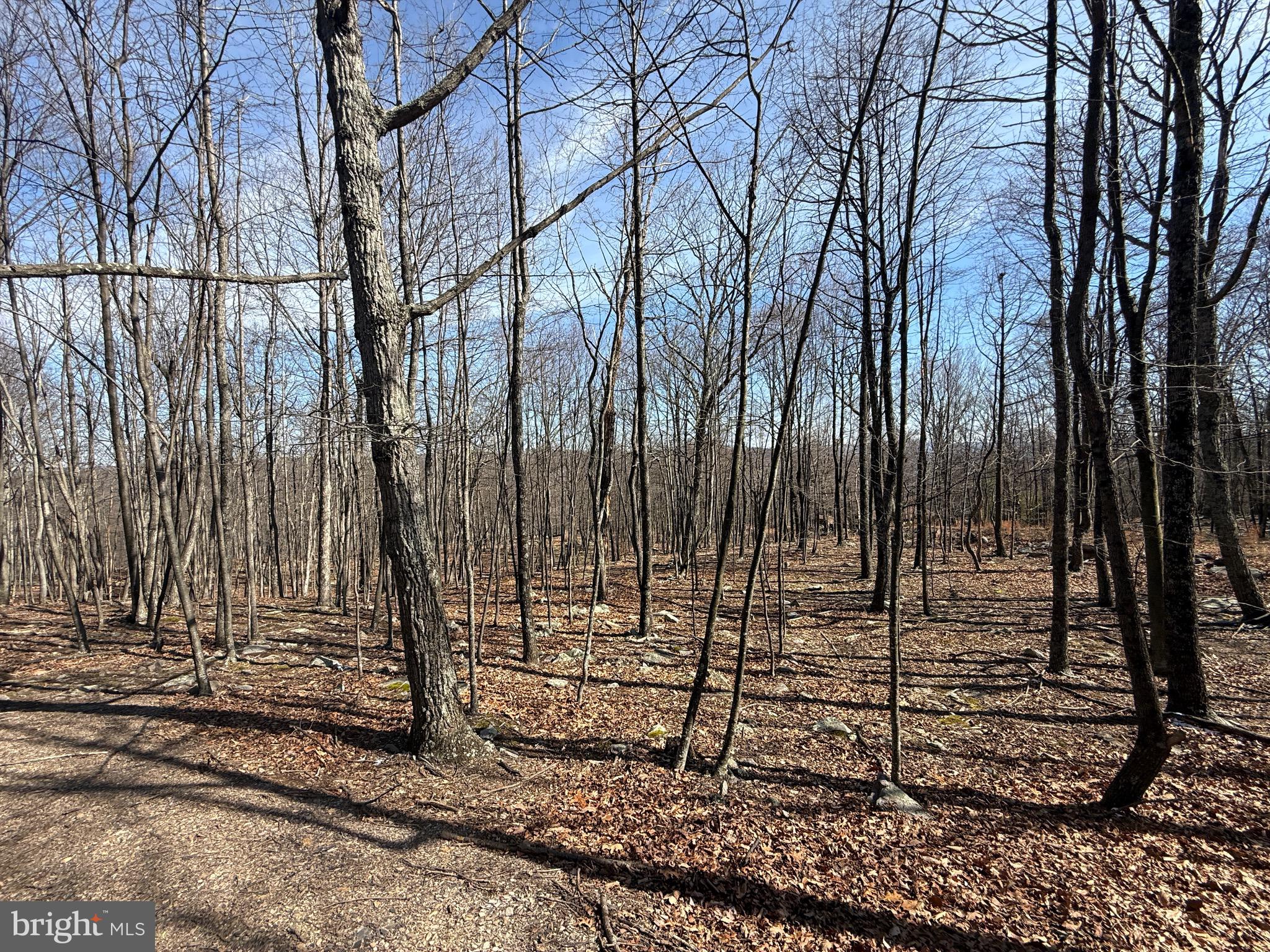 590 Parkside Terrace Berkeley Springs, WV 25411 - Photo 2 of 15