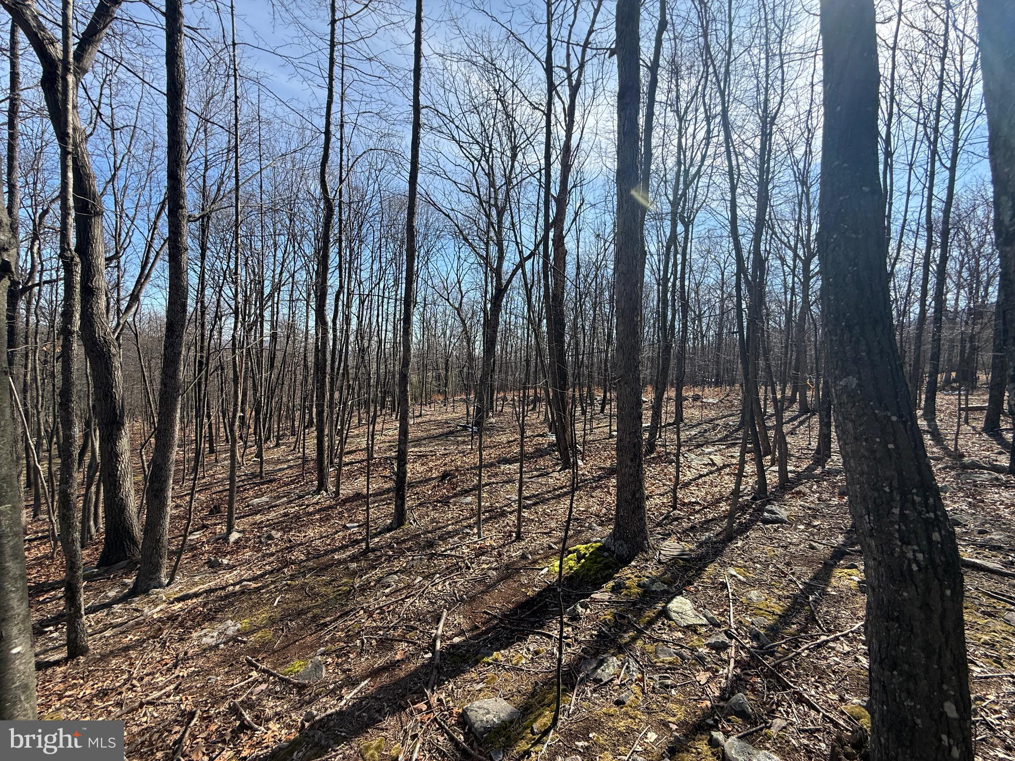 590 Parkside Terrace Berkeley Springs, WV 25411 - Photo 6 of 15