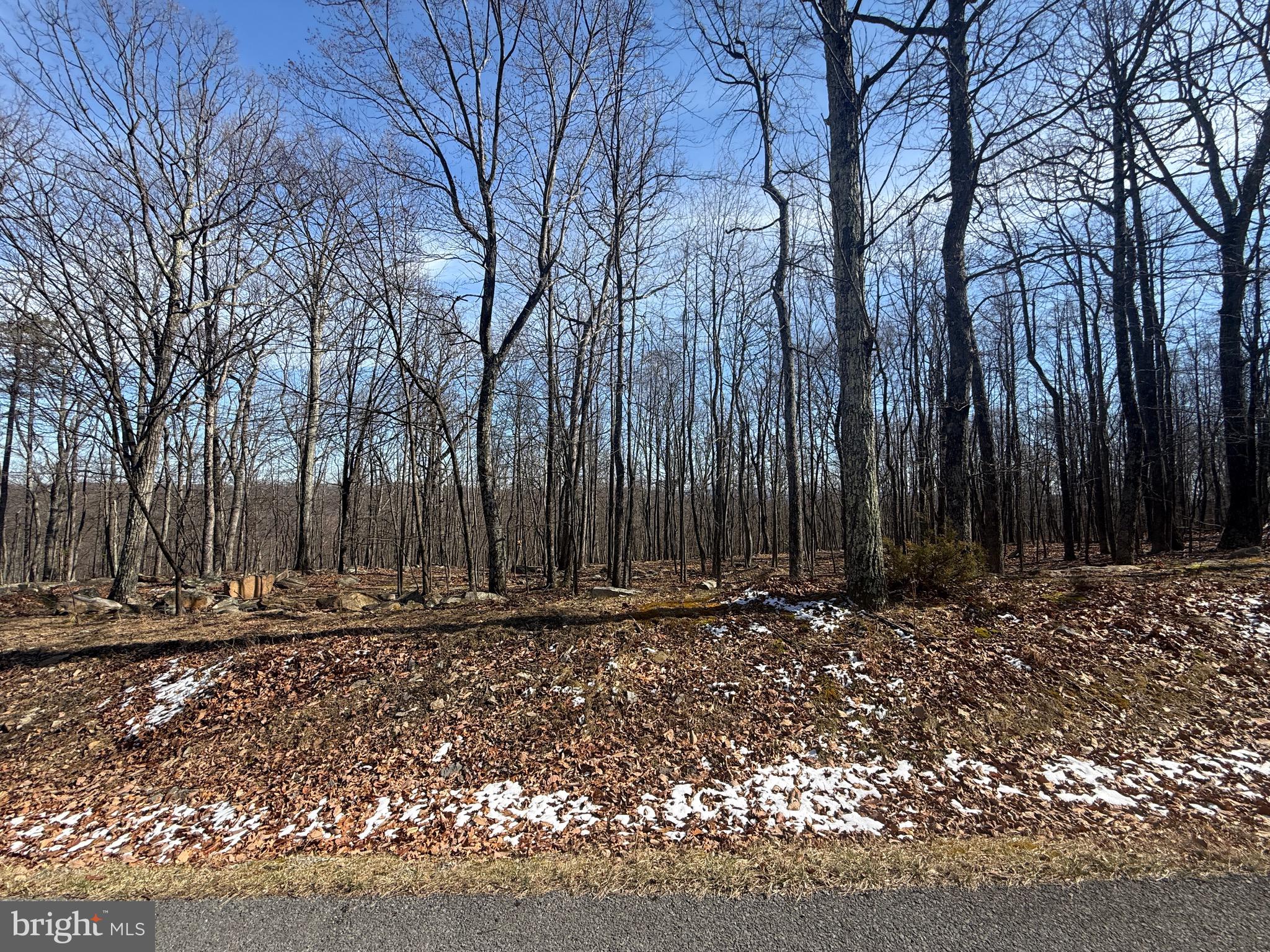 590 Parkside Terrace Berkeley Springs, WV 25411 - Photo 9 of 15