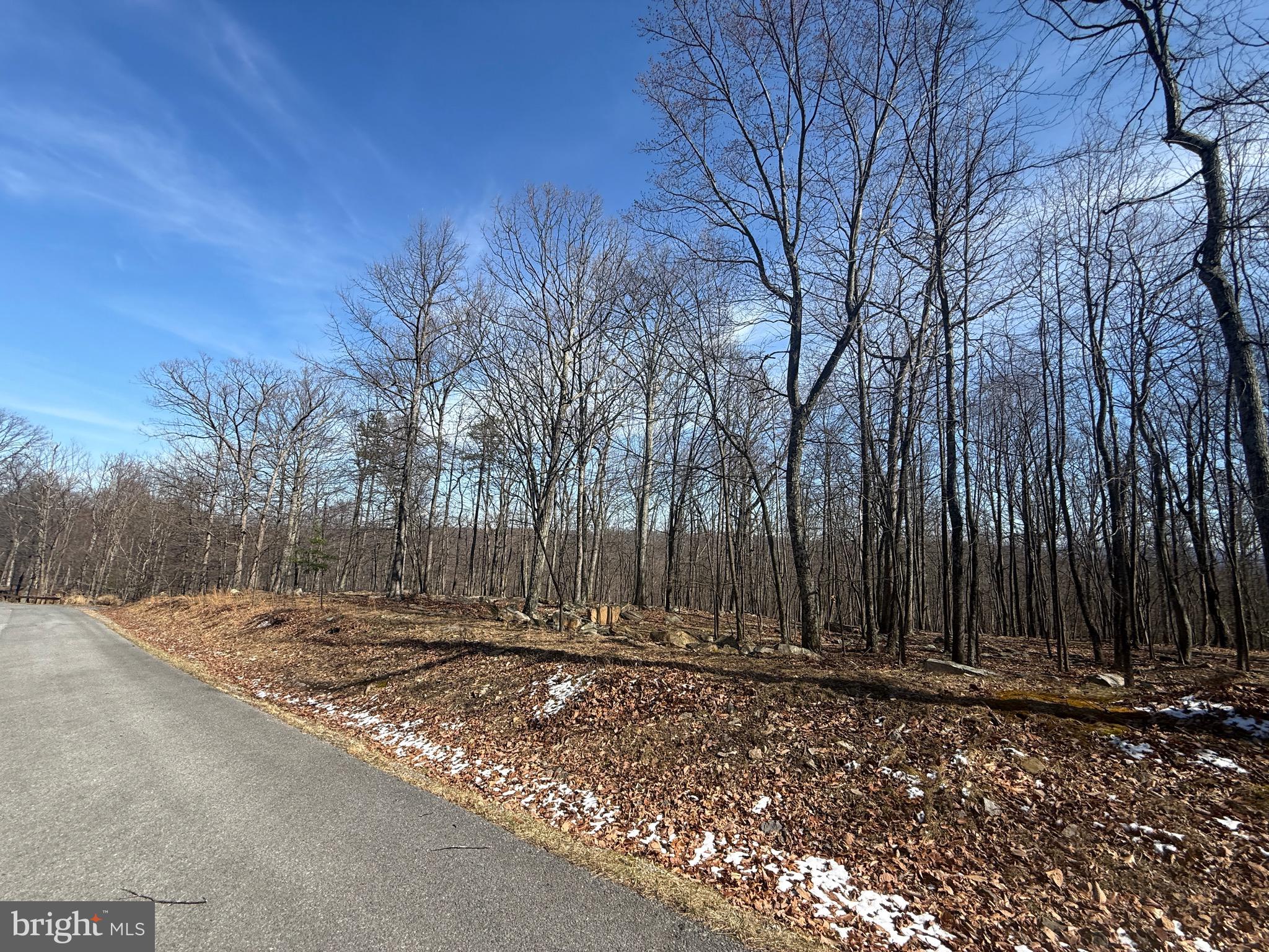 590 Parkside Terrace Berkeley Springs, WV 25411 - Photo 10 of 15