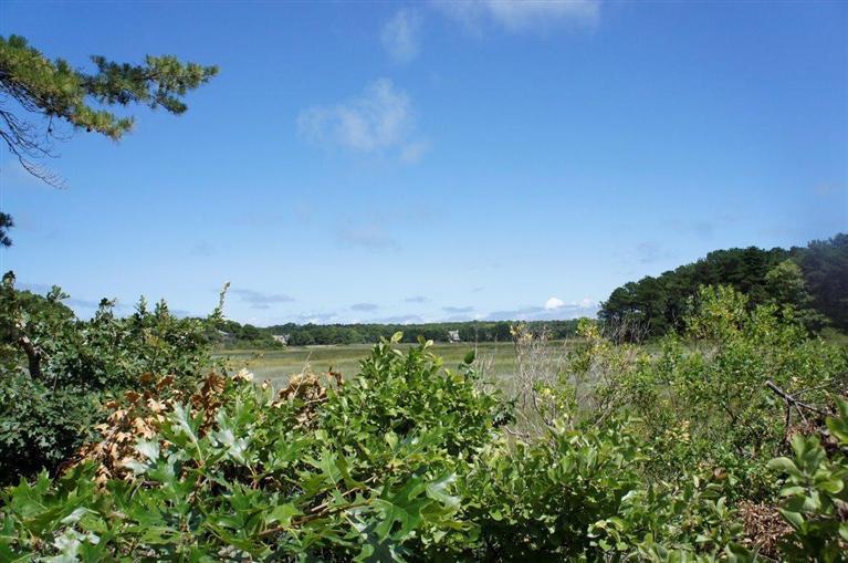 140 Fox Island Road Wellfleet, MA 02667 - Photo 17 of 23 a view of a lake